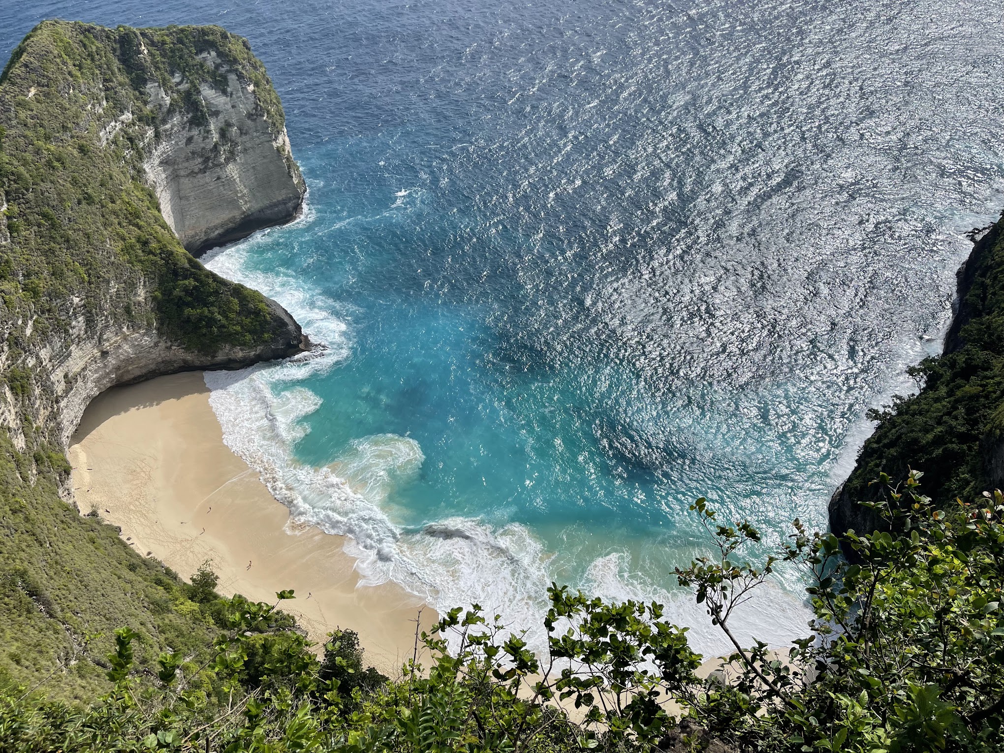 【島プラン】インドネシアの楽園、レンボンガン島とヌサペニダ島へようこそ！